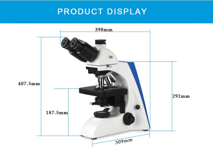 영상 LCD 스크린을 가진 BK6000 Trinocular 디지털 방식으로 복식 현미경