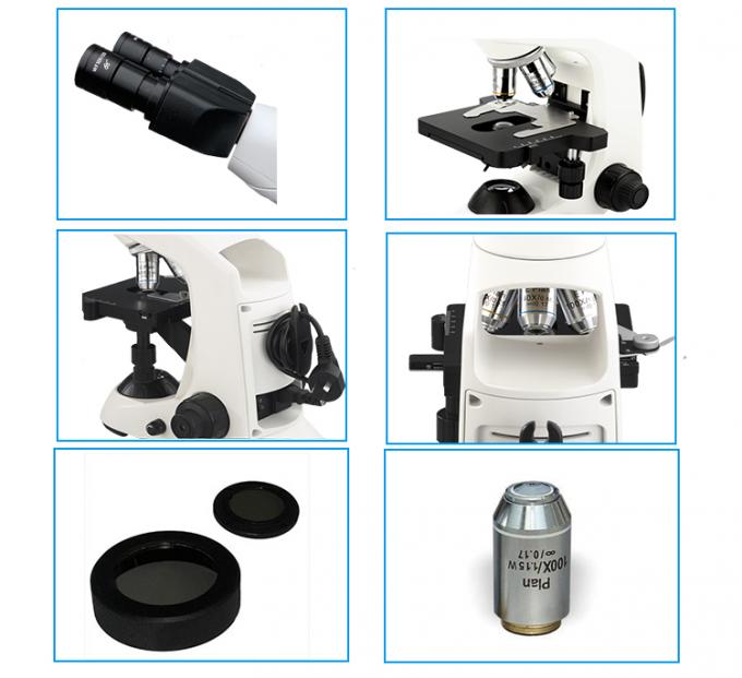 무한대 광학적인 삼안경 복식 현미경/직업적인 급료 현미경