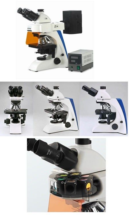 HBO FL Unit Upright Fluorescence Microscope , Laboratory Biological Microscope